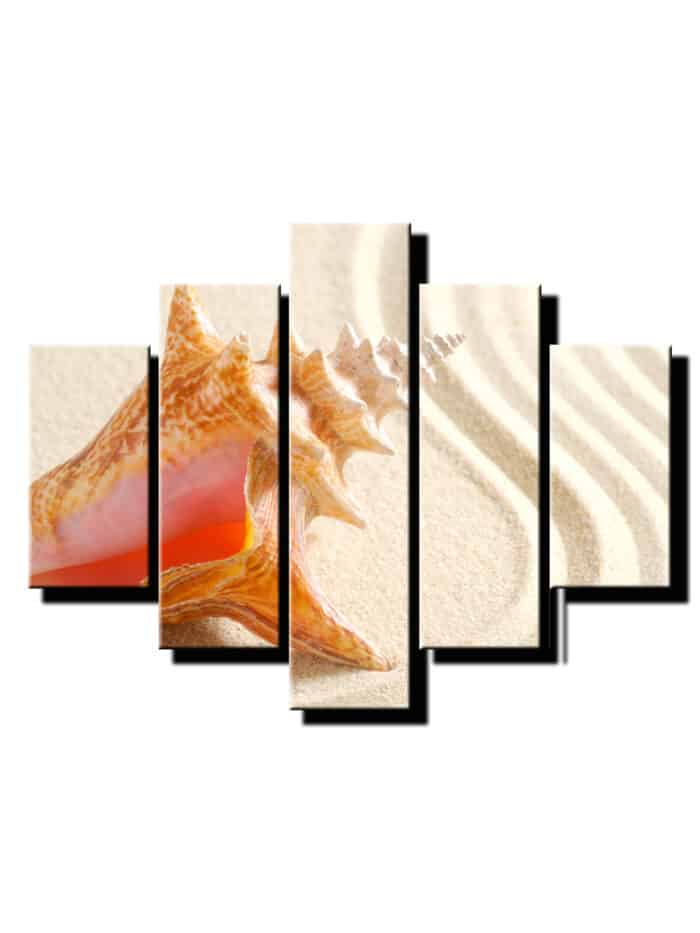5 dielny obraz na stenu musla na plazi-Viac dielne obrazy-Onlinefotka