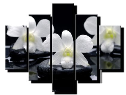 5 dielny obraz na stenu orchidea feng shui na kamenoch-Viac dielne obrazy-Onlinefotka