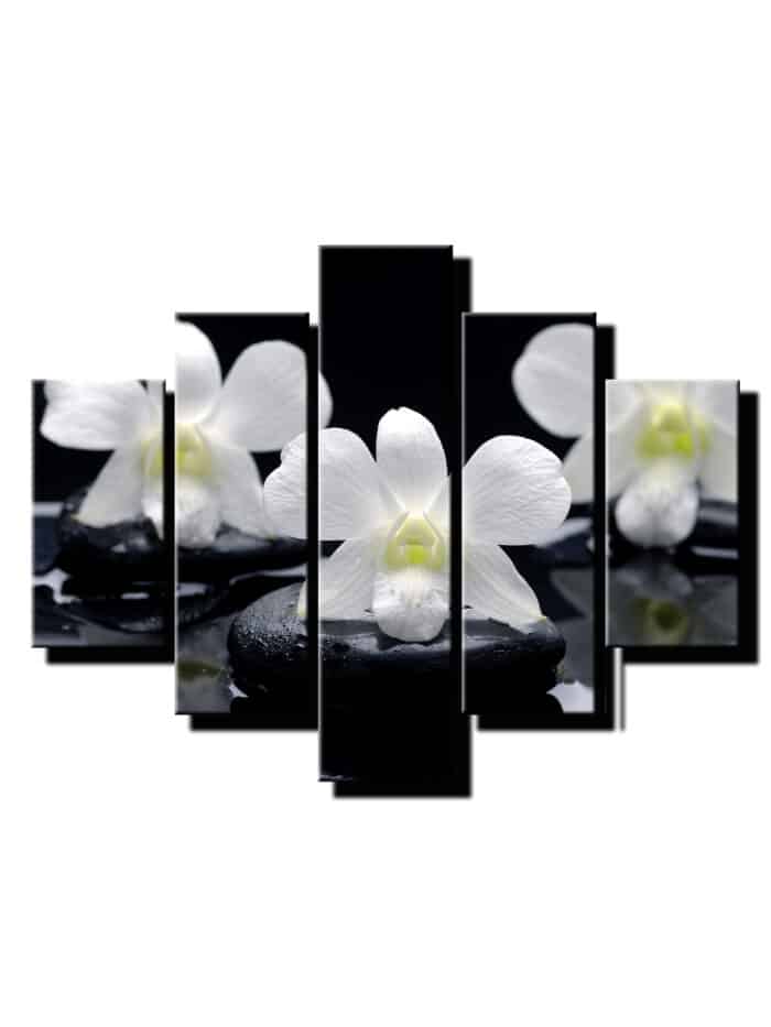 5 dielny obraz na stenu orchidea feng shui na kamenoch-Viac dielne obrazy-Onlinefotka