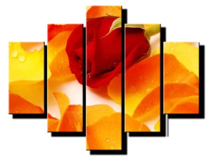 5 dielny obraz na stenu ruza s lupenmi-viac dielny obraz-onlinefotka