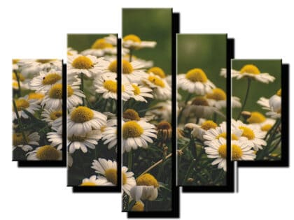 5 dielny obraz na stenu sedmokrasky-viac dielny obraz-onlinefotka