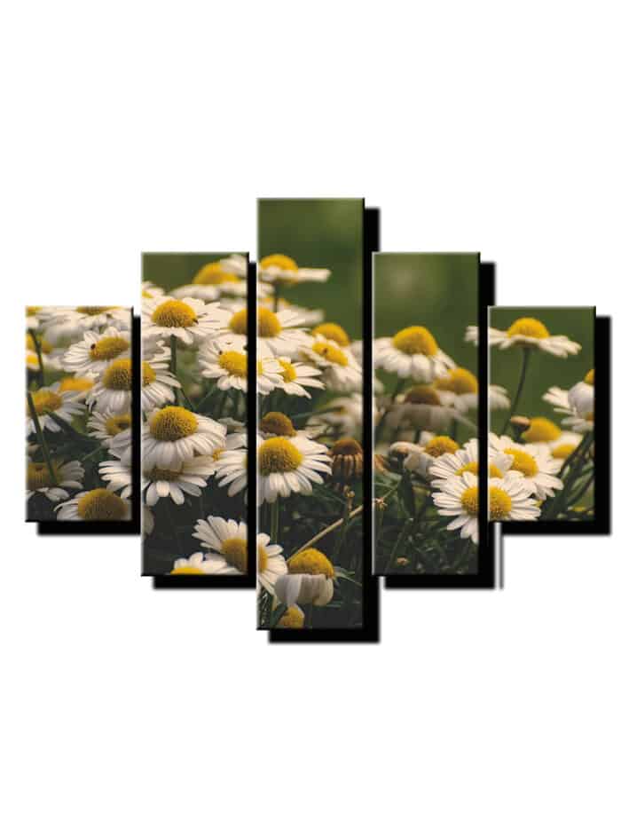 5 dielny obraz na stenu sedmokrasky-viac dielny obraz-onlinefotka
