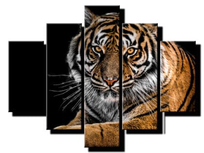 5 dielny obraz na stenu tiger-viac dielny obraz-onlinefotka