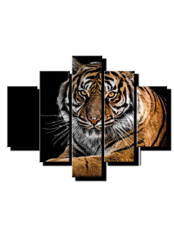 5 dielny obraz na stenu tiger-viac dielny obraz-onlinefotka