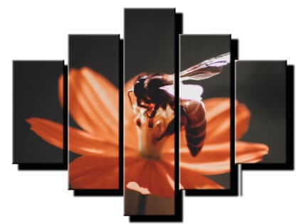 5 dielny obraz na stenu vcela-viac dielny obraz-onlinefotka