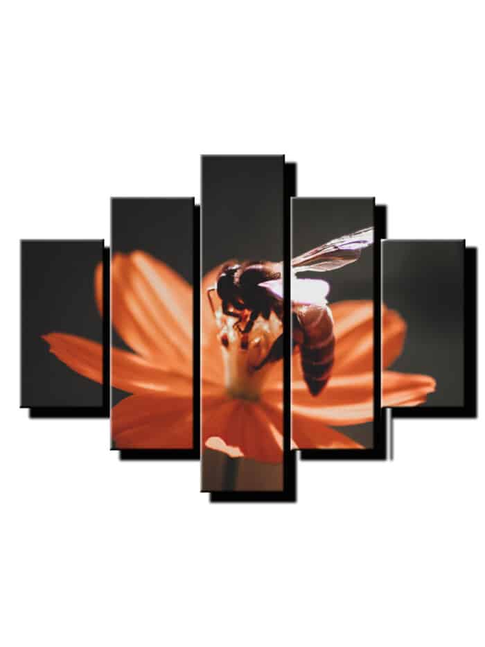 5 dielny obraz na stenu vcela-viac dielny obraz-onlinefotka