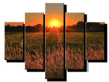 5 dielny obraz na stenu vychod slnka-viac dielny obraz-onlinefotka