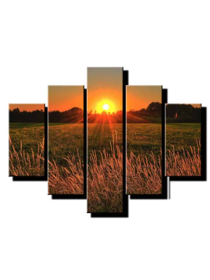 5 dielny obraz na stenu vychod slnka-viac dielny obraz-onlinefotka