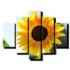 5 dielny obraz slnecnica-viac dielny obraz-onlinefotka