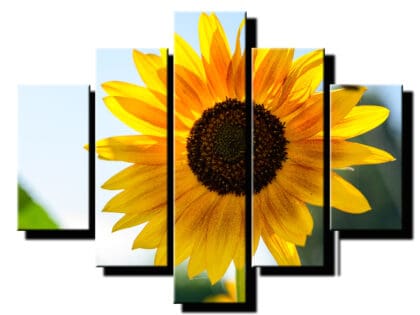 5 dielny obraz slnecnica-viac dielny obraz-onlinefotka