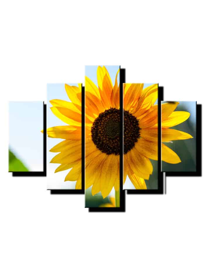 5 dielny obraz slnecnica-viac dielny obraz-onlinefotka