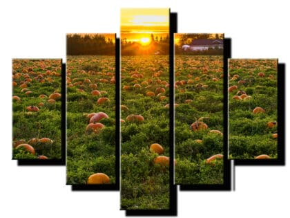 5 diely obraz na stenu tekvicove pole-viac dielny obraz-onlinefotka