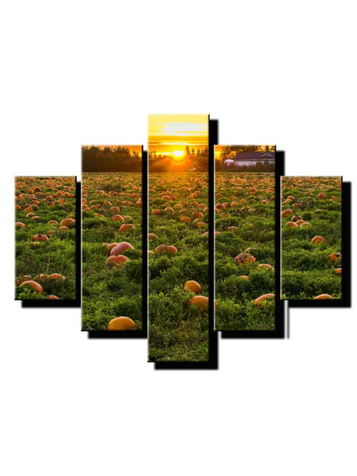 5 diely obraz na stenu tekvicove pole-viac dielny obraz-onlinefotka