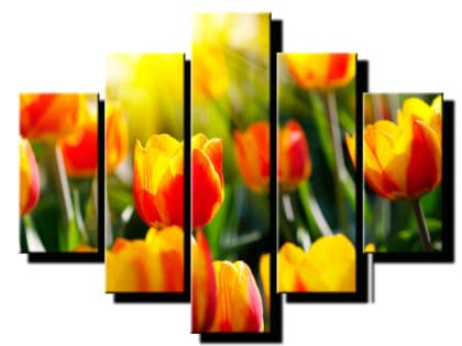 5 diely obraz na stenu tulipany-viac dielny obraz-onlinefotka