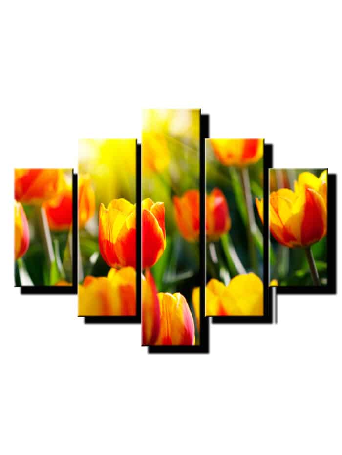 5 diely obraz na stenu tulipany-viac dielny obraz-onlinefotka