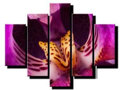 pat dielny obraz bordova orchidea-viac dielny obraz-onlinefotka