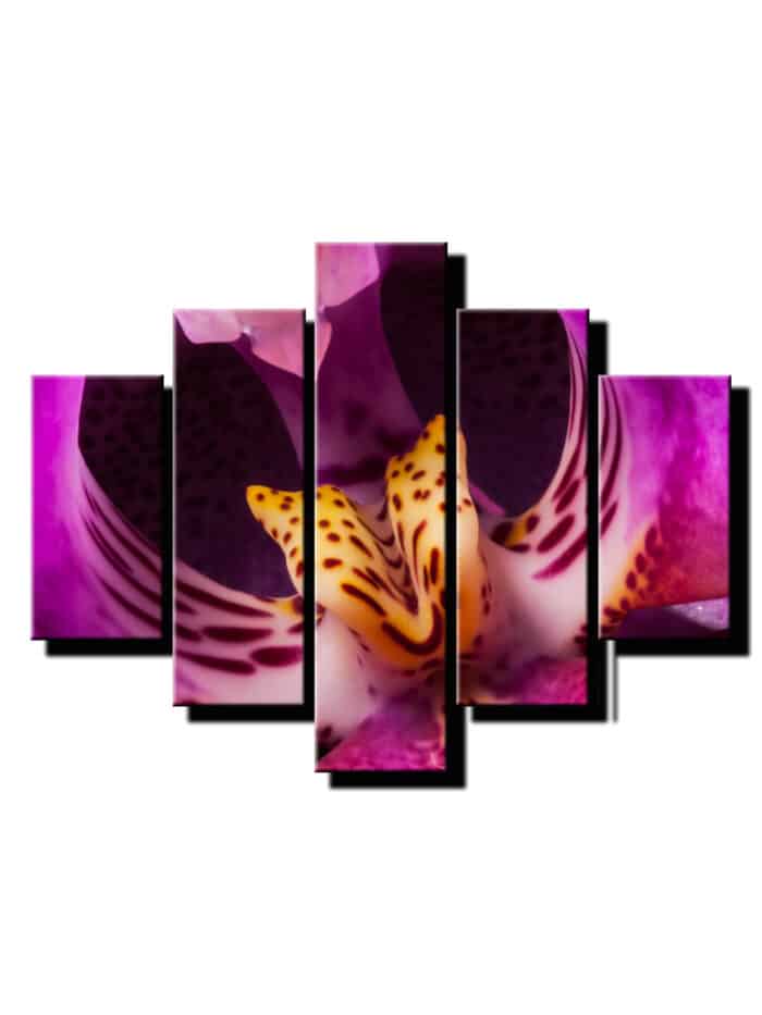 pat dielny obraz bordova orchidea-viac dielny obraz-onlinefotka