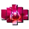 pat dielny obraz cervena orchidea-viac dielny obraz-onlinefotka