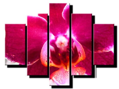 pat dielny obraz cervena orchidea-viac dielny obraz-onlinefotka