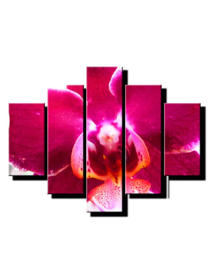 pat dielny obraz cervena orchidea-viac dielny obraz-onlinefotka