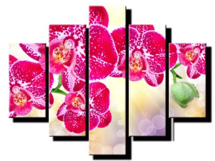 pat dielny obraz farebná orchidea-viac dielny obraz-onlinefotka