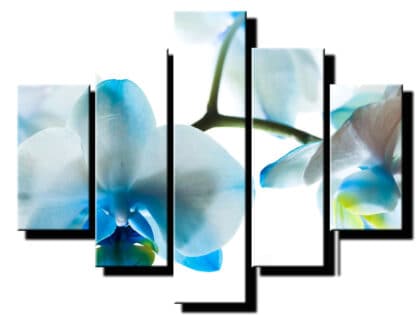 pat dielny obraz na stenu-modra orchidea-viac dielny obraz-onlinefotka