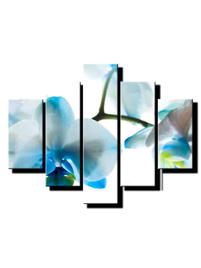 pat dielny obraz na stenu-modra orchidea-viac dielny obraz-onlinefotka