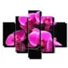 pat dielny obraz na stenu orchidea ruzova-viacdielny obraz na stenu-onlinefotka