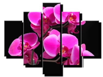 pat dielny obraz na stenu orchidea ruzova-viacdielny obraz na stenu-onlinefotka