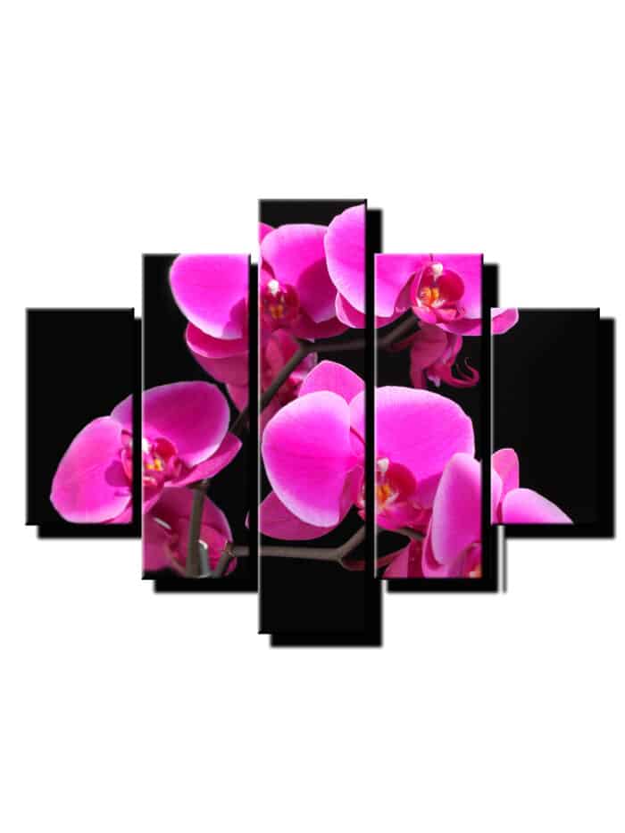 pat dielny obraz na stenu orchidea ruzova-viacdielny obraz na stenu-onlinefotka