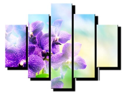 pat dielny obraz orchidea s fialovym lupenom-viac dieny obraz-onlinefotka