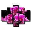 pat dielny obraz orchidea s lupenom-viac dielny obraz-onlinefotka