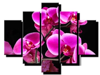 pat dielny obraz orchidea s lupenom-viac dielny obraz-onlinefotka