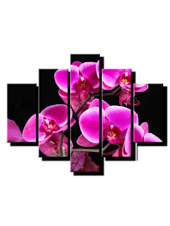 pat dielny obraz orchidea s lupenom-viac dielny obraz-onlinefotka