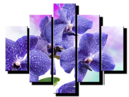 pat dielny obraz orchidea-viac dielny obraz-onlinefotka