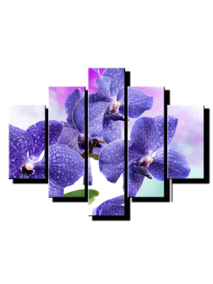 pat dielny obraz orchidea-viac dielny obraz-onlinefotka