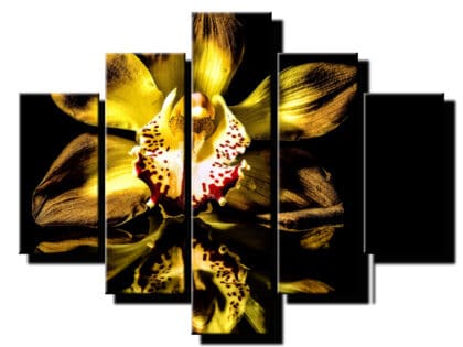 pat dielny obraz zlatá orchidea-viac dielny obraz-onlinefotka