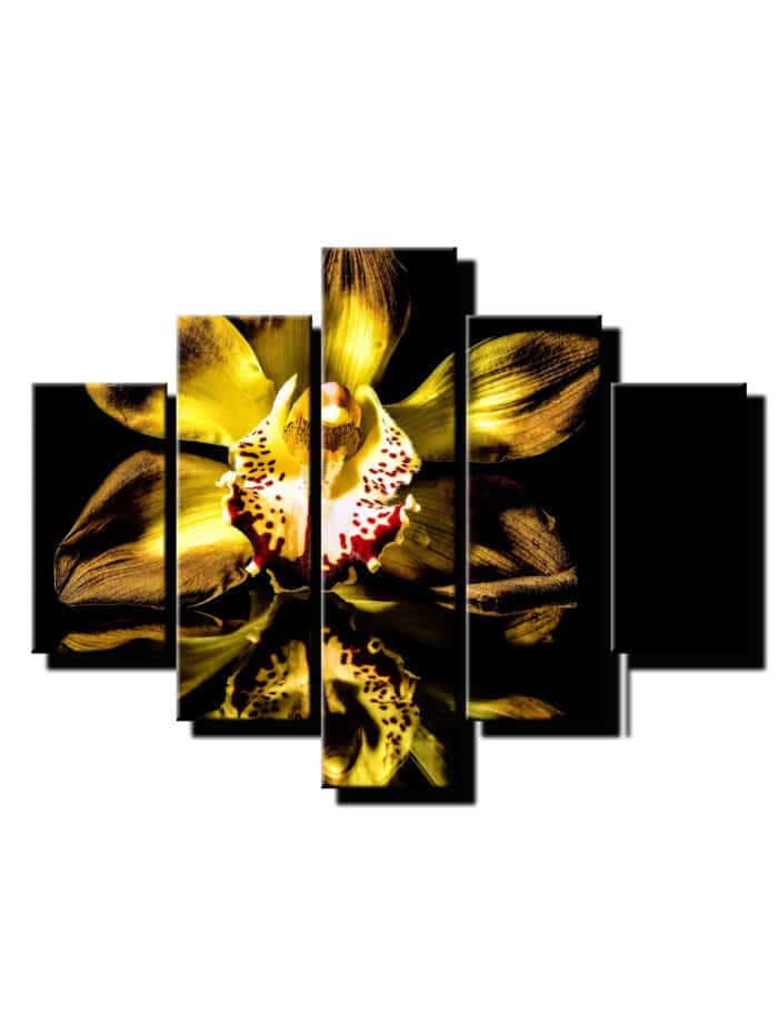 pat dielny obraz zlatá orchidea-viac dielny obraz-onlinefotka