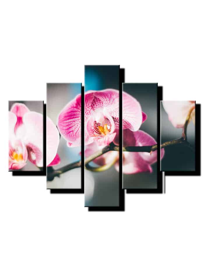 pat dieny obraz orchidea-viac dielny obraz-onlinefotka