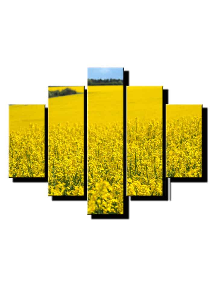 5 diellny obraz pestovanie repky olejnej-Viac dielny obraz-moderne obrazy na stenu
