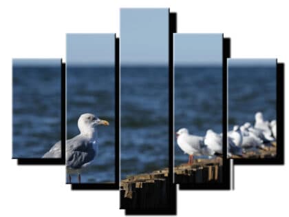 5 dielny obraz cajky pri mori-Viac dielny obraz-moderne obrazy na stenu