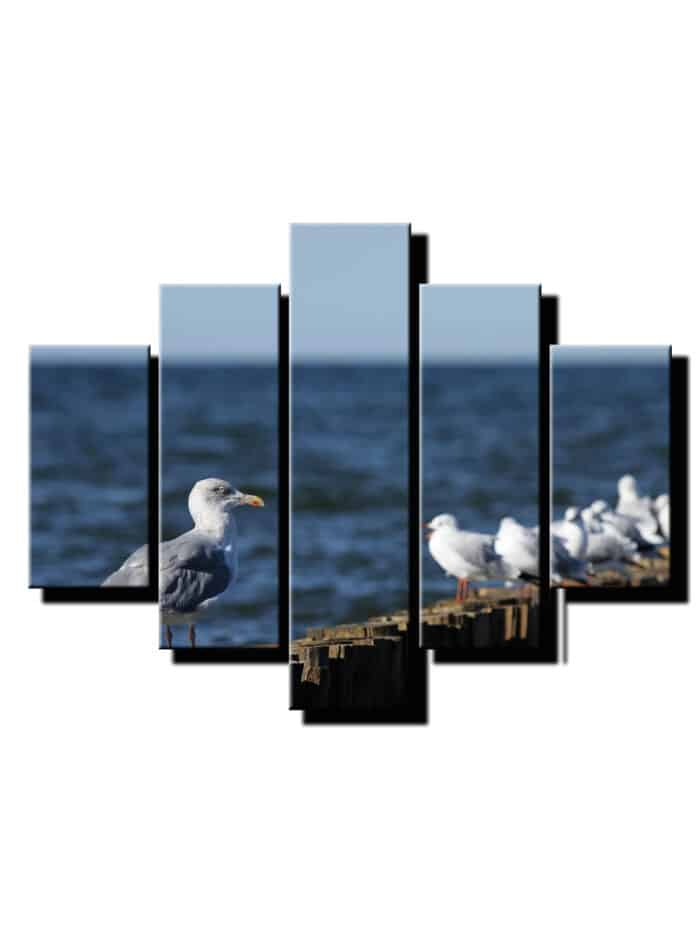 5 dielny obraz cajky pri mori-Viac dielny obraz-moderne obrazy na stenu