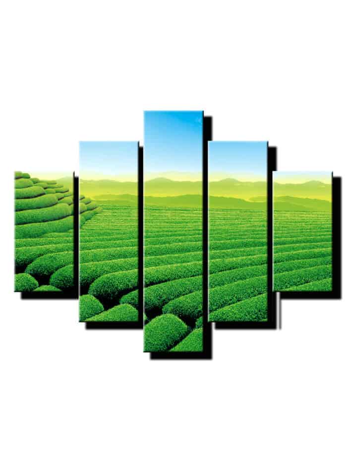 5 dielny obraz čajové pole-Viac dielny obraz-moderne obrazy na stenu