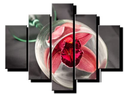 5 dielny obraz cervena orchidea v pohari-Viac dielny obraz-moderne obrazy na stenu