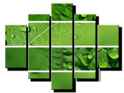 5 dielny obraz detial listou-Viac dielny obraz-Moderne obrazy na stenu-Obraz na stenu