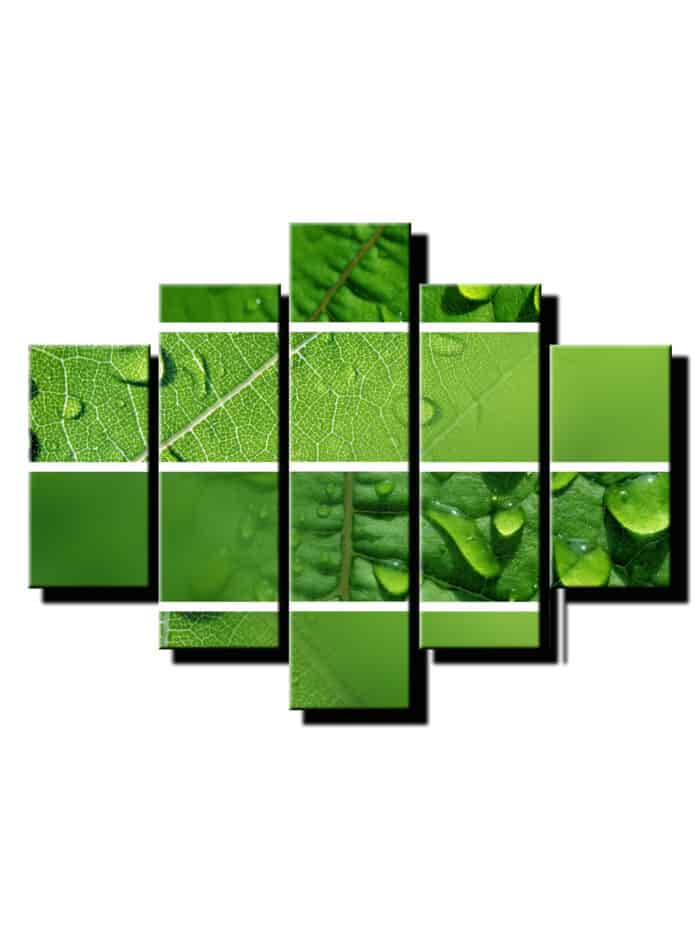 5 dielny obraz detial listou-Viac dielny obraz-Moderne obrazy na stenu-Obraz na stenu