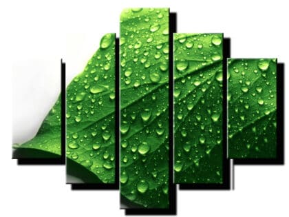 5 dielny obraz detial s listom-Viac dielny obraz-Moderne obrazy na stenu-Obraz na stenu