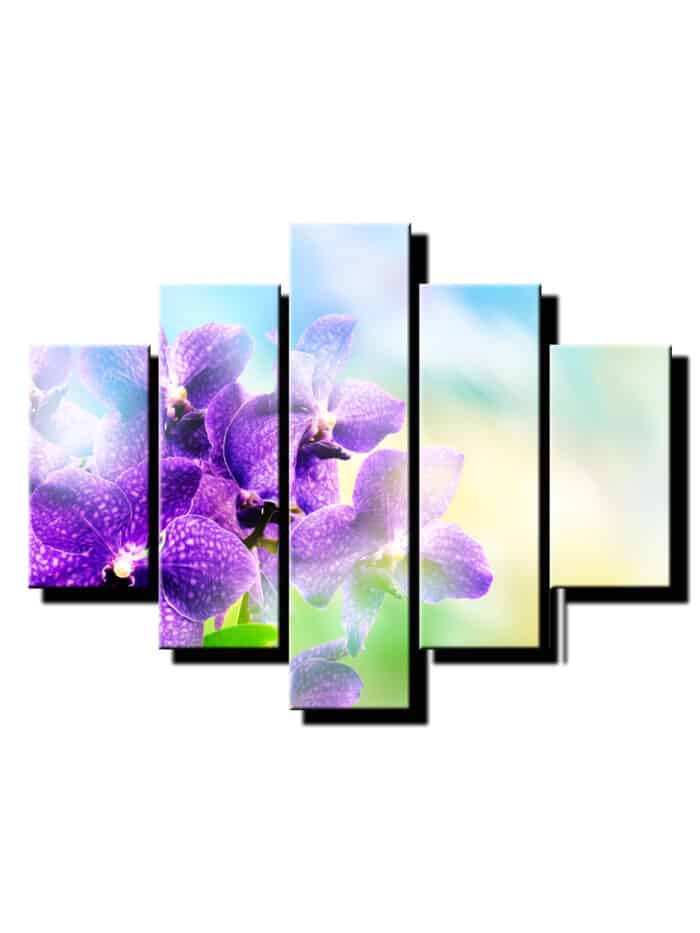 5 dielny obraz fialova orchidea-Viac dielny obraz-Moderne obrazy na stenu-Obraz na stenu
