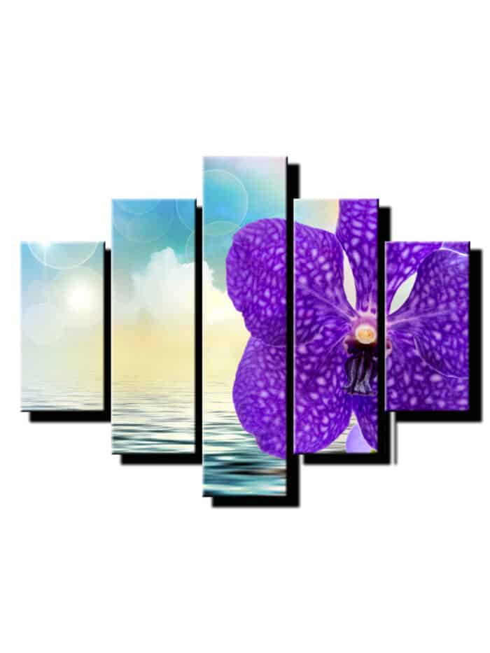 5 dielny obraz fialova orchidea na vode-Viac dielny obraz-Moderne obrazy na stenu-Obraz na stenu