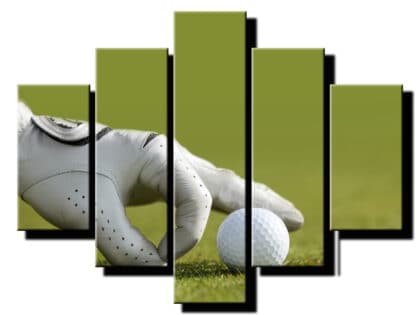 5 dielny obraz golfova lopticka -Viac dielny obraz-moderne obrazy na stenu